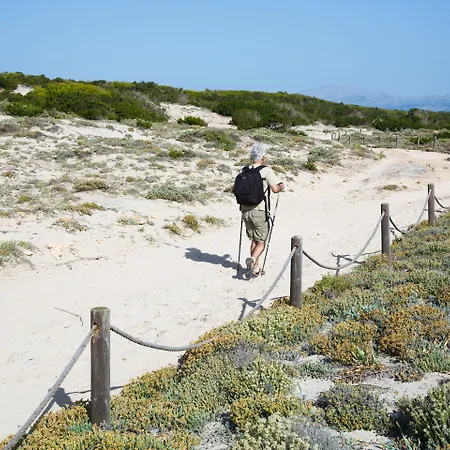 Js Ca'n Picafort (adults Only) Hotel