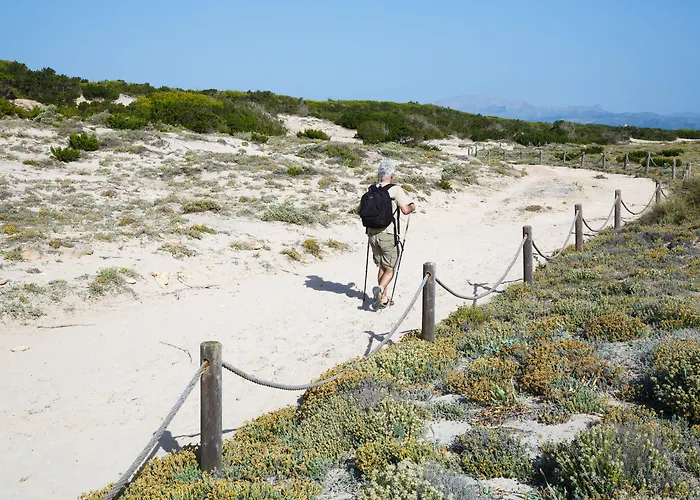 Js Ca'n Picafort (adults Only) Hotel